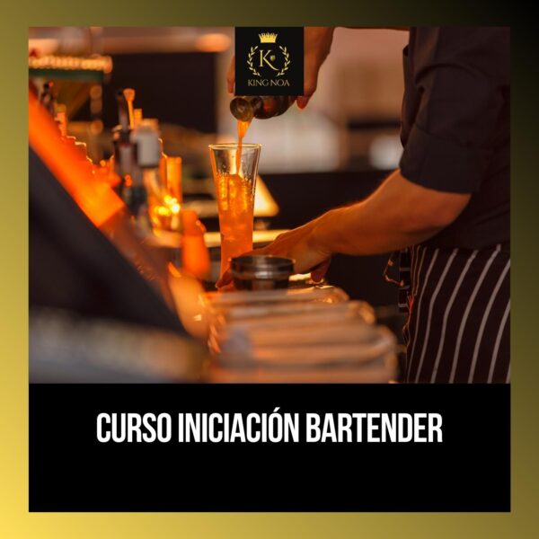 Curso Iniciación Bartender